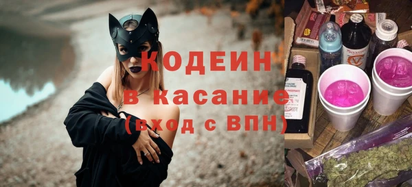 прущие грибы Богданович