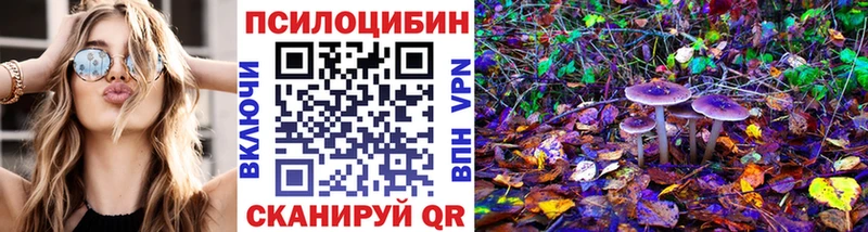 shop состав  где можно купить наркотик  Выкса  Псилоцибиновые грибы GOLDEN TEACHER  mega как зайти 