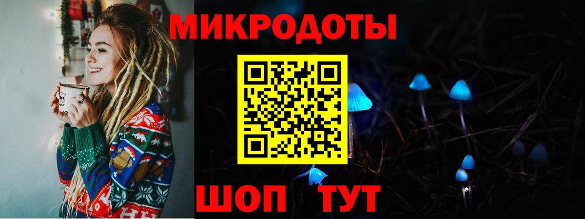 Псилоцибиновые грибы Psilocybe Выкса