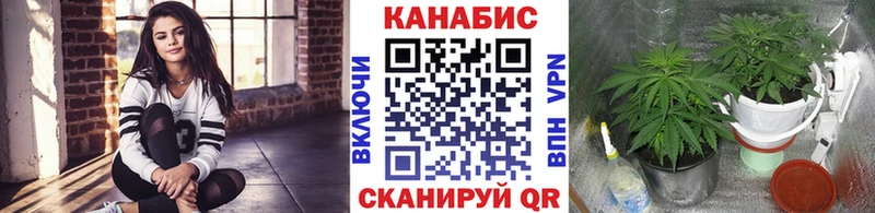 МАРИХУАНА сатива  Выкса 